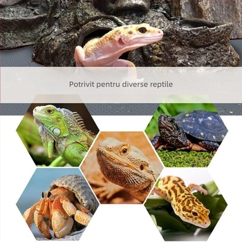 Covoraș reptile rezistent la mucegai Eva, covoraș cu fund pentru cutie de reproducere șarpe Gecko, covoraș anti-murdar pentru recipient de sticlă, antiderapant, impermeabil și ușor de întreținut