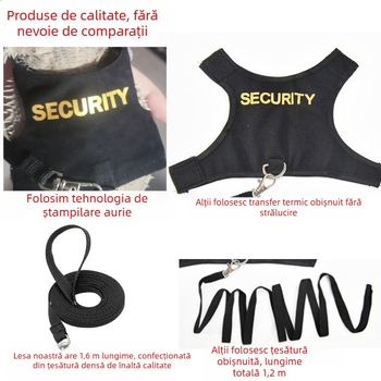 Lesă pentru șopârlă, ham pentru animale de companie pentru uz exterior, lesă pentru veveriță cameleon, îmbrăcăminte, articole pentru animale mici, călătorii în siguranță