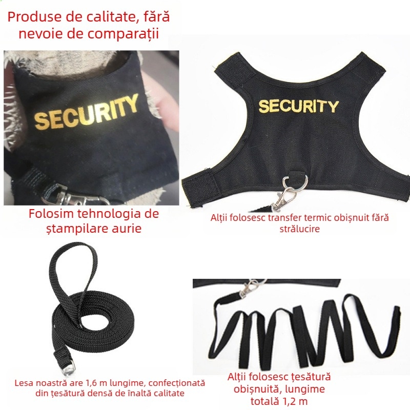 Lesă pentru șopârlă, ham pentru animale de companie pentru uz exterior, lesă pentru veveriță cameleon, îmbrăcăminte, articole pentru animale mici, călătorii în siguranță