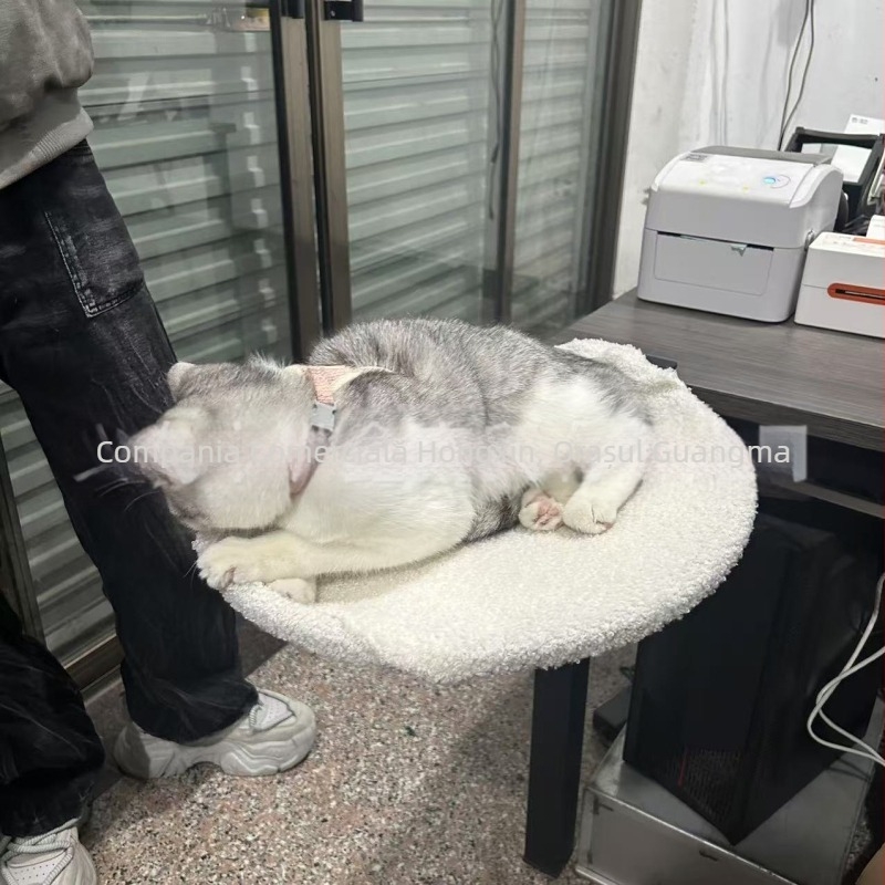 Amazon, suport pentru pisici din fier forjat, cuib pentru pisici, mobil, portabil, detașabil, cu cadru de susținere pentru pisici, tavă