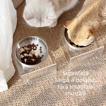 Bol pentru pisici din oțel inoxidabil, cu picior înalt, acrilic, suport elevat, protejează coloana cervicală, bol pentru câini, bol pentru câini cu diametru mare, bol pentru apă pentru animale de companie, bol pentru hrană