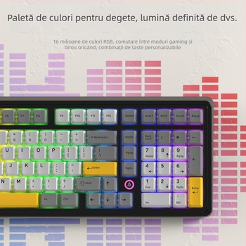 Heijue Ak980 Tastatură mecanică pentru jocuri, 100 de taste, personalizată pentru jocuri de birou E-Sports, tastatură de computer Amazon