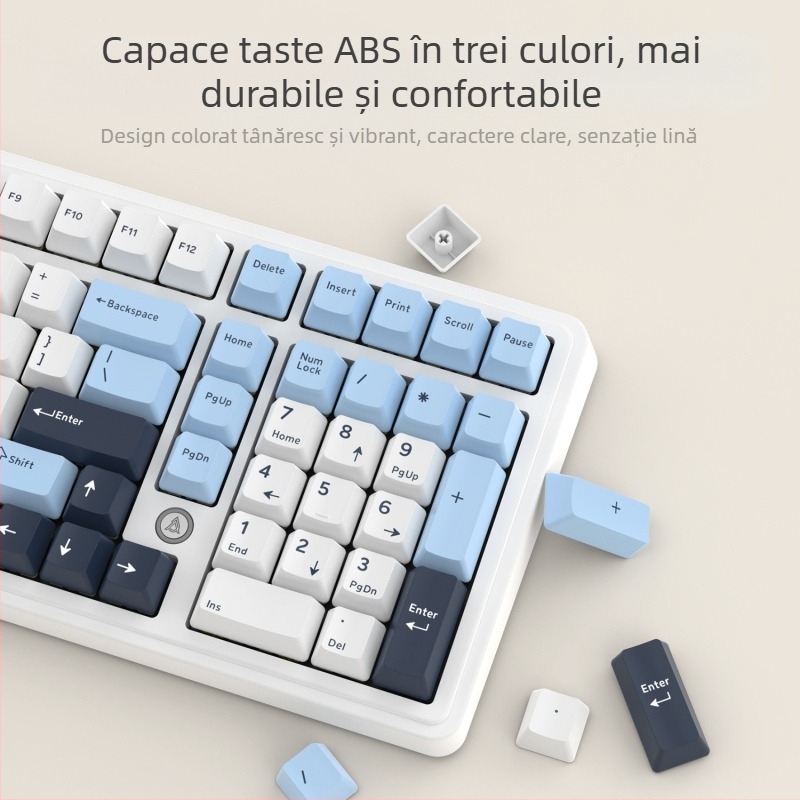 Heijue Ak980 Tastatură mecanică pentru jocuri, 100 de taste, personalizată pentru jocuri de birou E-Sports, tastatură de computer Amazon