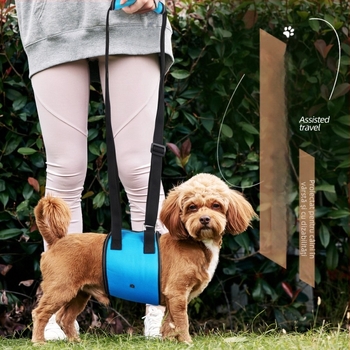 Exclusiv transfrontalier pentru câini, frânghie de tracțiune, câini cu dizabilități, câini vârstnici, curea de piept auxiliară pentru ridicarea curei de piept pentru animale de companie, en-gros
