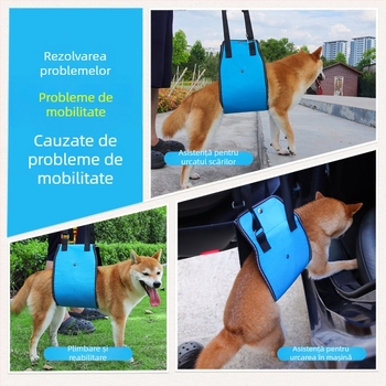 Exclusiv transfrontalier pentru câini, frânghie de tracțiune, câini cu dizabilități, câini vârstnici, curea de piept auxiliară pentru ridicarea curei de piept pentru animale de companie, en-gros