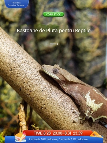 Noua școală se joacă cool cățărător animal de companie băț de lemn moale R este un gigant Gegaya corn ciliar Shougong broască de copac cutie în creștere peisaj cățărător