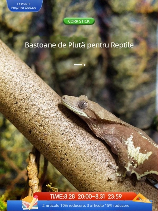 Noua școală se joacă cool cățărător animal de companie băț de lemn moale R este un gigant Gegaya corn ciliar Shougong broască de copac cutie în creștere peisaj cățărător