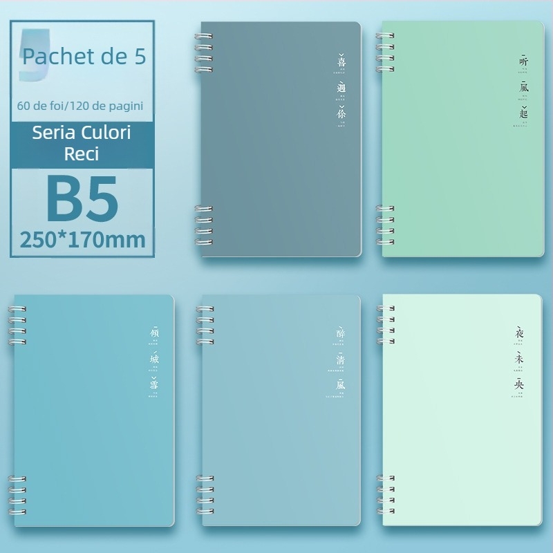 Morandi Color Coil Notebook B5, caiet spiralat cu linii orizontale, îngroșat, caiet pentru studenți, blocnotes, caiet de notițe de înaltă valoare