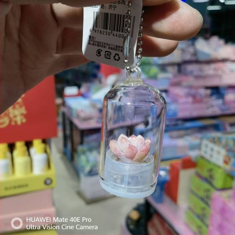 Plantă suculentă creativă, pandantiv mic, artizanal, cadou, ornament auto, decor, mini plantă, stres, relief, accesoriu mic