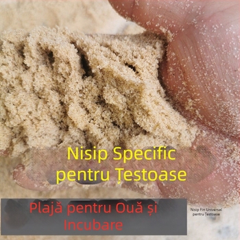 Nisip de râu cu țestoase, nisip fin cristalin, fund de acvariu, nisip peisagistic, nisip decorativ pentru acvariu cu țestoase, nisip special, nisip fierbinte, fund de piatră