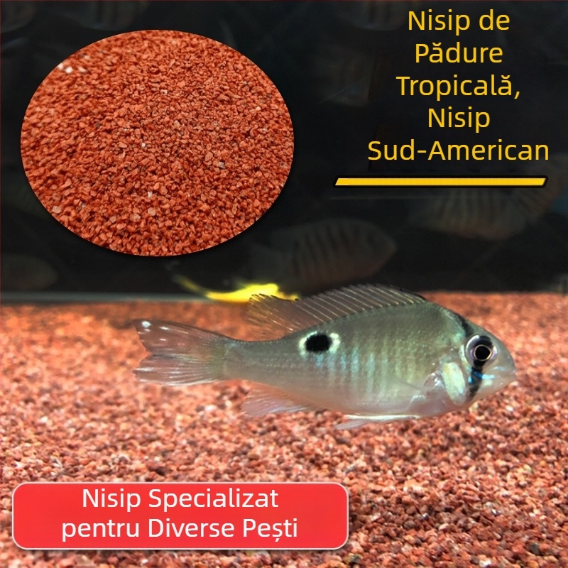 Nisip de râu cu țestoase, nisip fin cristalin, fund de acvariu, nisip peisagistic, nisip decorativ pentru acvariu cu țestoase, nisip special, nisip fierbinte, fund de piatră