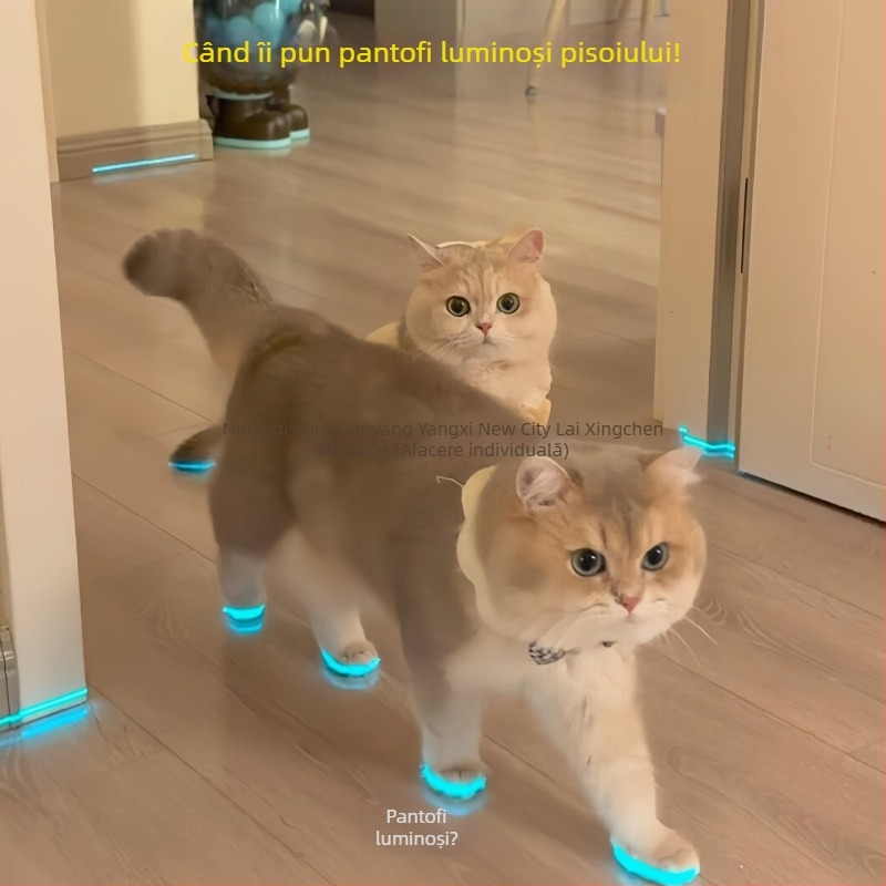 Pantofi luminoși pentru pisici, Pantofi pentru câini, Fluier, Jucării luminoase pentru copii, Accesorii pentru fotografie nocturnă, Jucărie pentru pisici