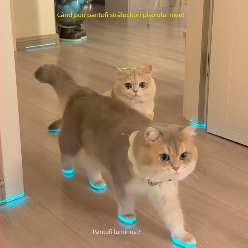 Pantofi luminoși pentru pisici, Pantofi pentru câini, Fluier, Jucării luminoase pentru copii, Accesorii pentru fotografie nocturnă, Jucărie pentru pisici