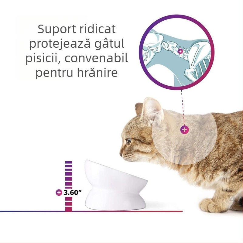 Bol de băut pentru animale de companie, en-gros transfrontalier, bol anti-șoc pentru hrană pentru pisici, bol ceramic oblic pentru pisici, cu picior înalt, protecție pentru gâtul câinilor