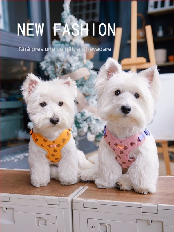 Lesă pentru câini, vestă pentru plimbări, lesă pentru câini mici, curea de piept pentru câini medii, lesă pentru câini, lanț de pluș pentru câini