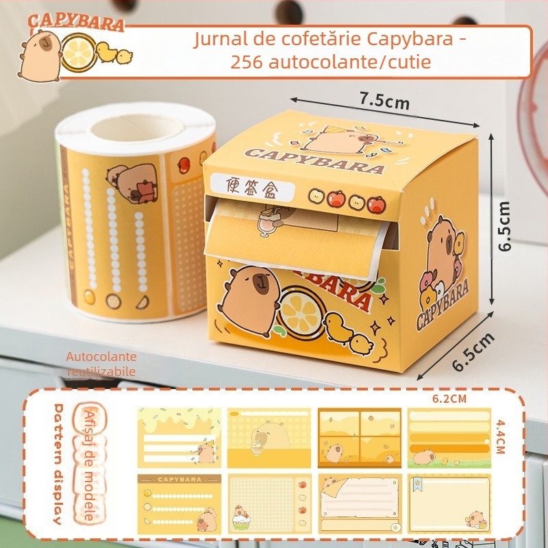 Notițe adezive detașabile, hârtie creativă și atractivă pentru întrebări greșite, autocolante speciale pentru examenul de admitere la studii postuniversitare pentru elevii de gimnaziu