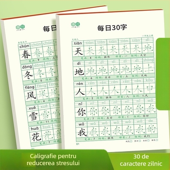 [Caiet de decompresie sincron, 30 de cuvinte pe zi] Cuvinte noi cu matrice punctuală pentru elevii de școală primară, clasele 1-6, caiet de practică pentru pictură chineză cu caligrafie roșie