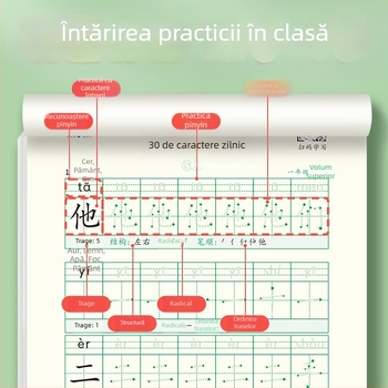 [Caiet de decompresie sincron, 30 de cuvinte pe zi] Cuvinte noi cu matrice punctuală pentru elevii de școală primară, clasele 1-6, caiet de practică pentru pictură chineză cu caligrafie roșie