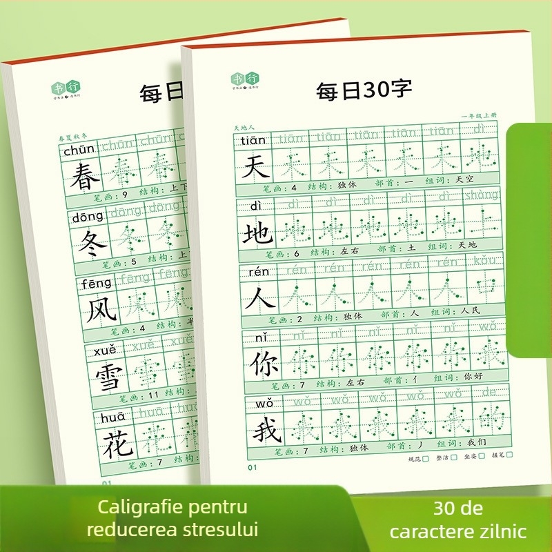 [Caiet de decompresie sincron, 30 de cuvinte pe zi] Cuvinte noi cu matrice punctuală pentru elevii de școală primară, clasele 1-6, caiet de practică pentru pictură chineză cu caligrafie roșie