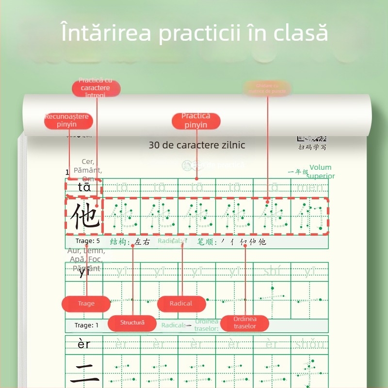 [Caiet de decompresie sincron, 30 de cuvinte pe zi] Cuvinte noi cu matrice punctuală pentru elevii de școală primară, clasele 1-6, caiet de practică pentru pictură chineză cu caligrafie roșie