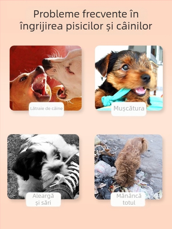 Băț de dresaj pentru câini, Băț de dresaj pentru câini, Dresaj Love Whip, Educație canină, Articole non-câine, Livrare gratuită