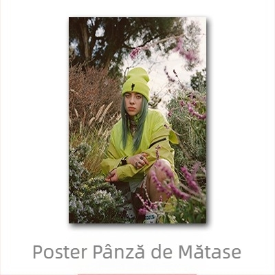 Poster Aliexpress transfrontalier cu celebritatea Billie Eilish, Billie Eilish personaj european și american, pictură murală pentru dormitor și living