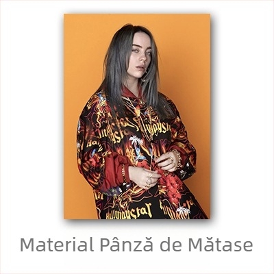 Poster Aliexpress transfrontalier cu celebritatea Billie Eilish, Billie Eilish personaj european și american, pictură murală pentru dormitor și living