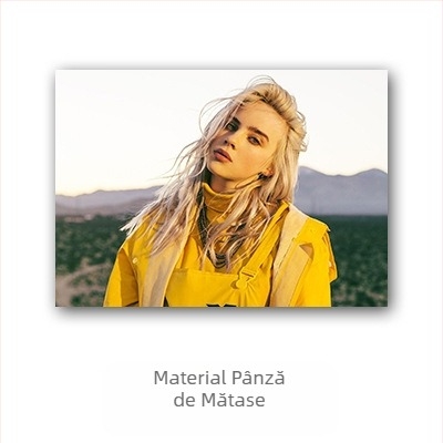 Poster Aliexpress transfrontalier cu celebritatea Billie Eilish, Billie Eilish personaj european și american, pictură murală pentru dormitor și living