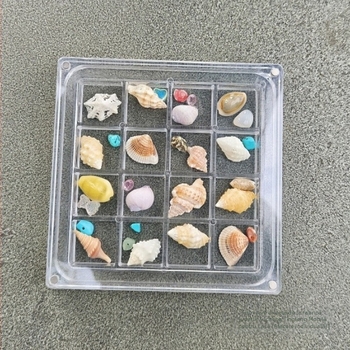 Cutie de depozitare magnetică pentru colecția de scoici mici, acrilice și transparente, creative pentru vacanță, cu piatra de mare