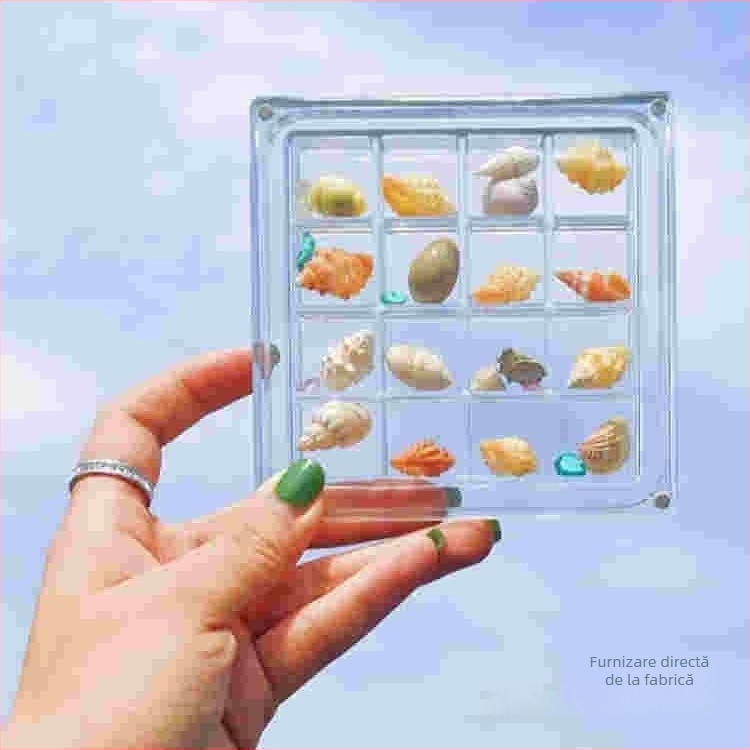 Cutie de depozitare magnetică pentru colecția de scoici mici, acrilice și transparente, creative pentru vacanță, cu piatra de mare
