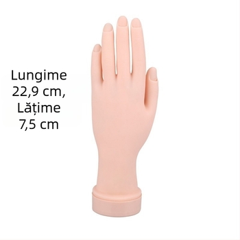 Exersare unghii artă mână falsă unghii flexibile mână falsă practică unghii artă mână falsă palmă falsă