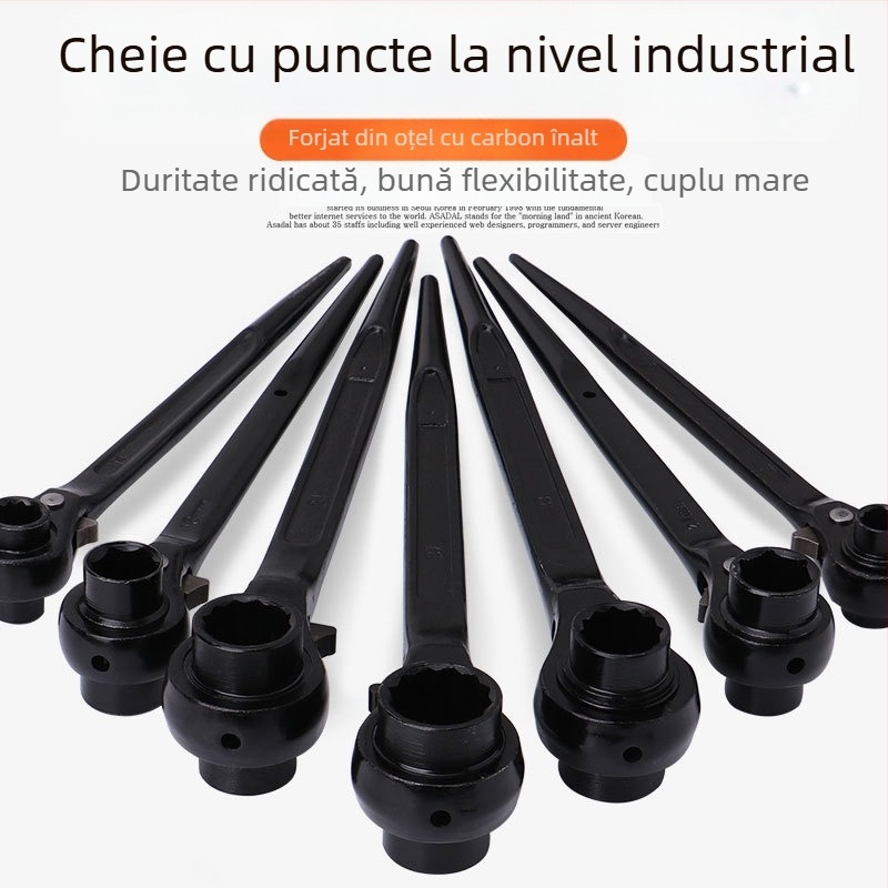 Dedong cheie clichet cu acționare bidirecțională; oțel crom-vanadiu; finisaj mat; greutate 1