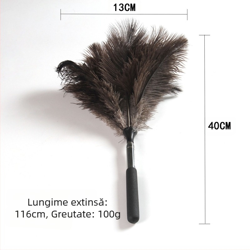 Curățitor de praf cu pene de struț, cap plat, tijă telescopică din oțel inoxidabil și mâner din lemn