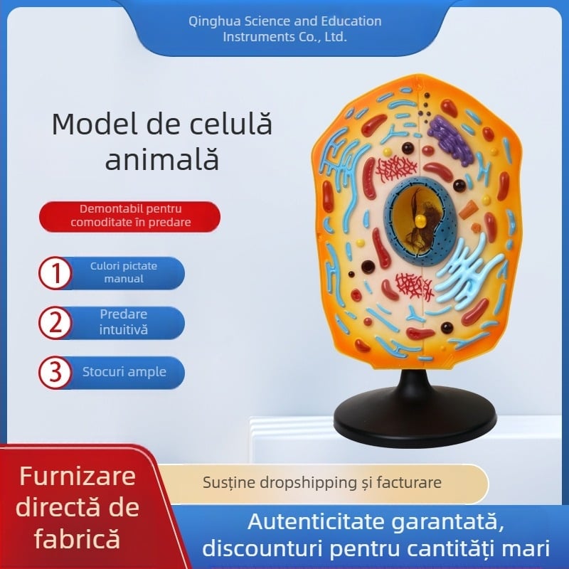 Qinghua QH3216-1 model celular animal pentru biologia gimnaziului, material ABS, 6 bucăți pe cutie