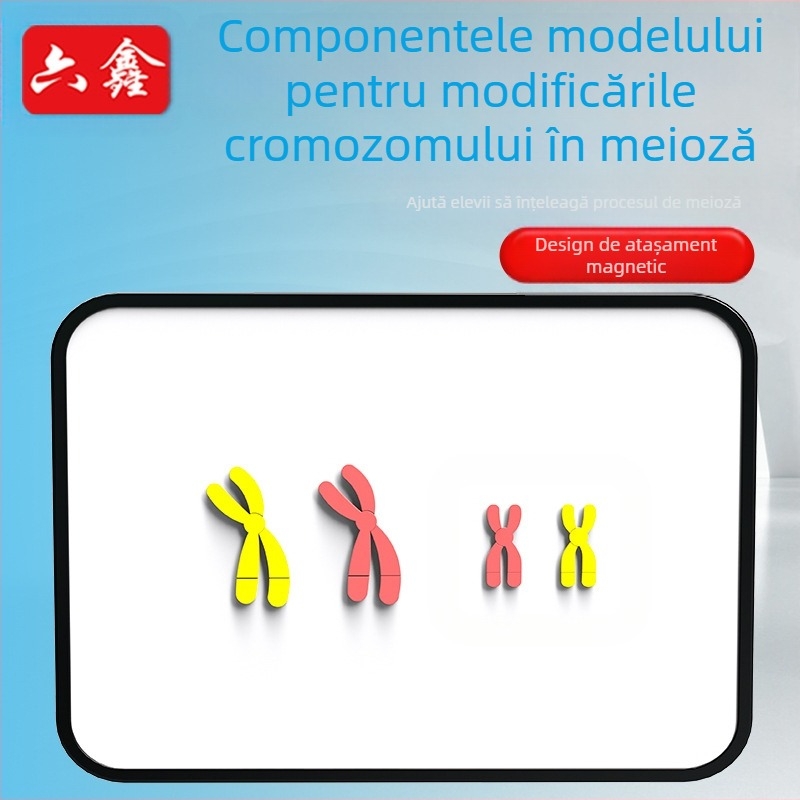 Liuxin instrument didactic: Model de schimbare a cromozomilor în meioză cu absorbție magnetică