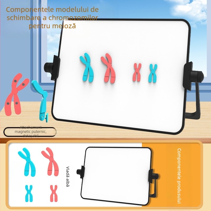 Liuxin instrument didactic: Model de schimbare a cromozomilor în meioză cu absorbție magnetică