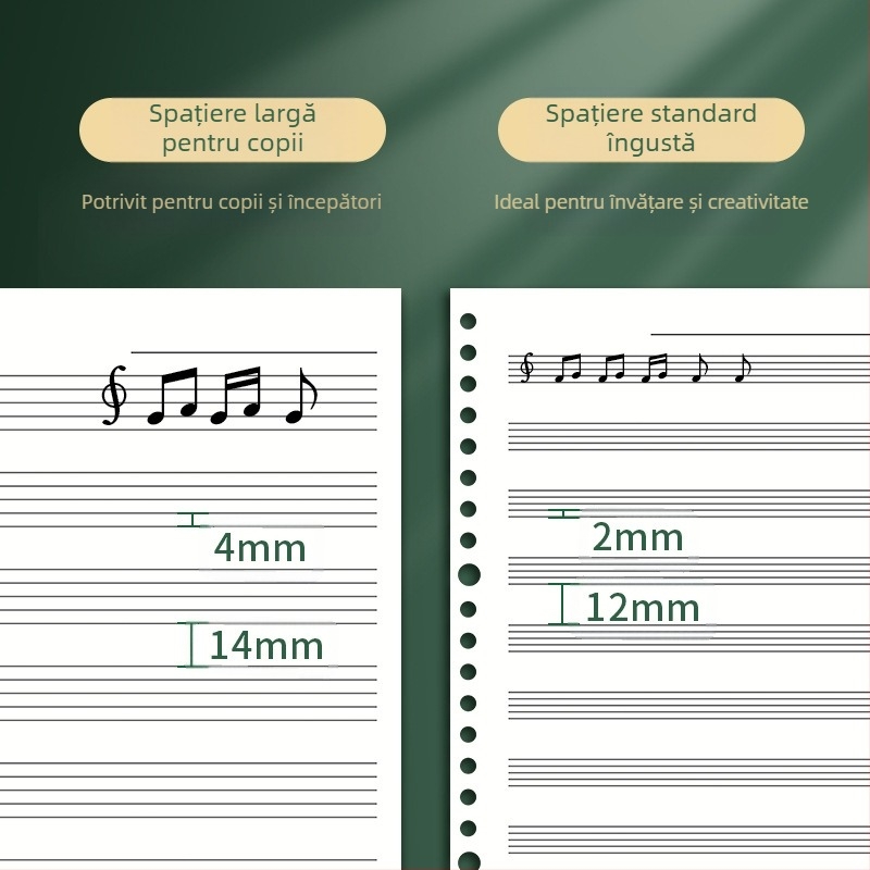 Sijin Carte cu cinci linii pentru note cu foi detașabile, Model A5/B5, Hârtie Lin Dao, 60 de foi, 26 găuri