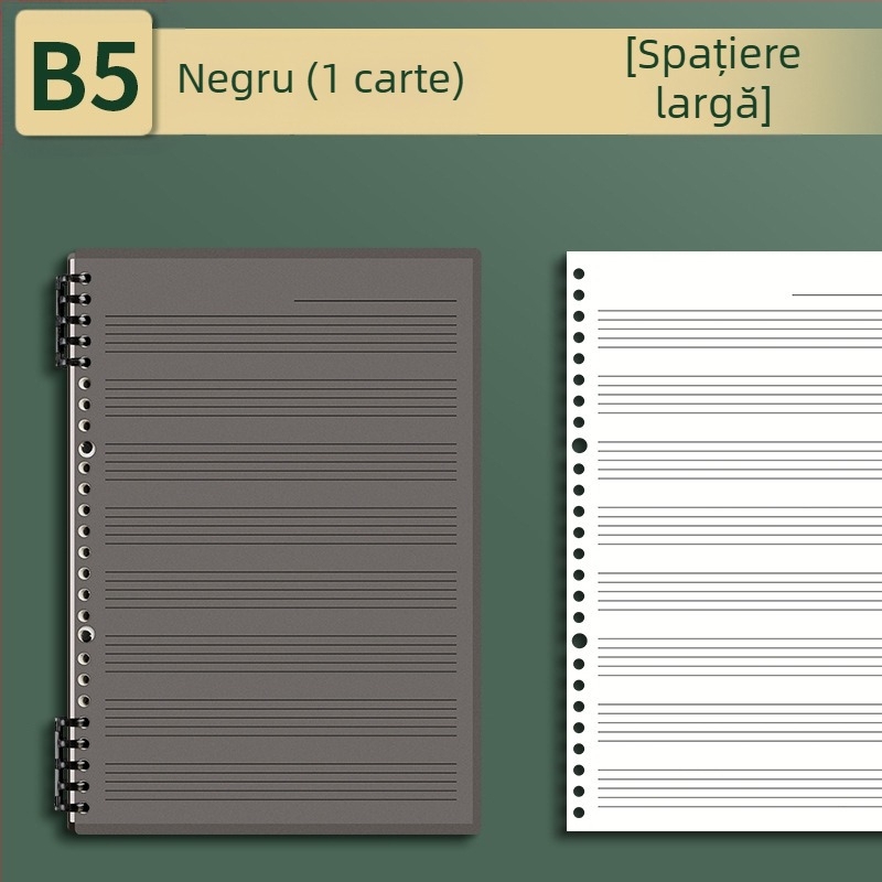 Sijin Carte cu cinci linii pentru note cu foi detașabile, Model A5/B5, Hârtie Lin Dao, 60 de foi, 26 găuri