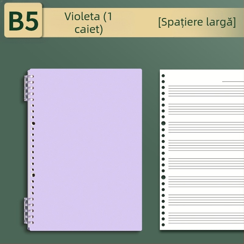 Sijin Carte cu cinci linii pentru note cu foi detașabile, Model A5/B5, Hârtie Lin Dao, 60 de foi, 26 găuri
