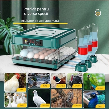 Incubator – mic pentru uz casnic, automat și inteligent, Wei Qian, IPX8 impermeabil, fără baterie încorporată