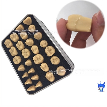 Model de sculptură dentară — marca HDF, producție domestică, cod de bare 448037, Categorie: Alte substanțe chimice pentru igiena orală