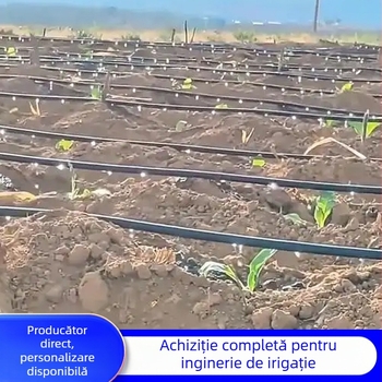 Bandă de irigare prin picurare Patch-Type cu două găuri pentru sere (legume, ardei, căpșuni) – Golden Autumn