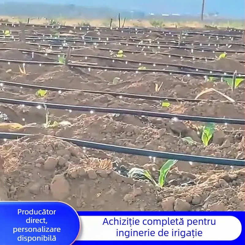 Bandă de irigare prin picurare Patch-Type cu două găuri pentru sere (legume, ardei, căpșuni) – Golden Autumn