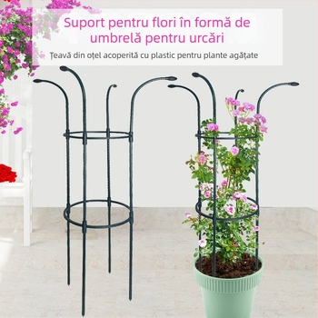 Suport umbrelă pentru plante cățărătoare, cadru de grădină exterior, suport pentru trandafiri și Clematis, diametrul țevii 11 mm