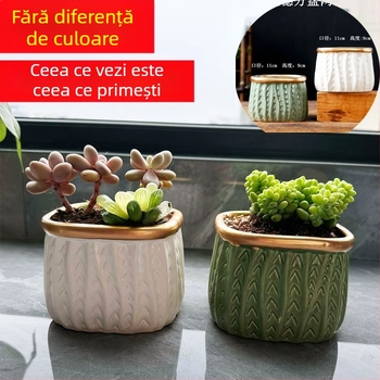 Ghiveci ceramic pentru suculente, respirabil și durabil, copt la temperaturi înalte, pentru birou sau casă