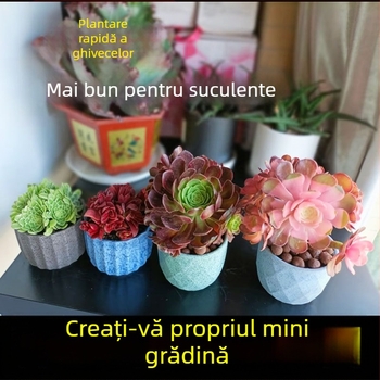 Ghiveci ceramic pentru suculente, respirabil și durabil, copt la temperaturi înalte, pentru birou sau casă