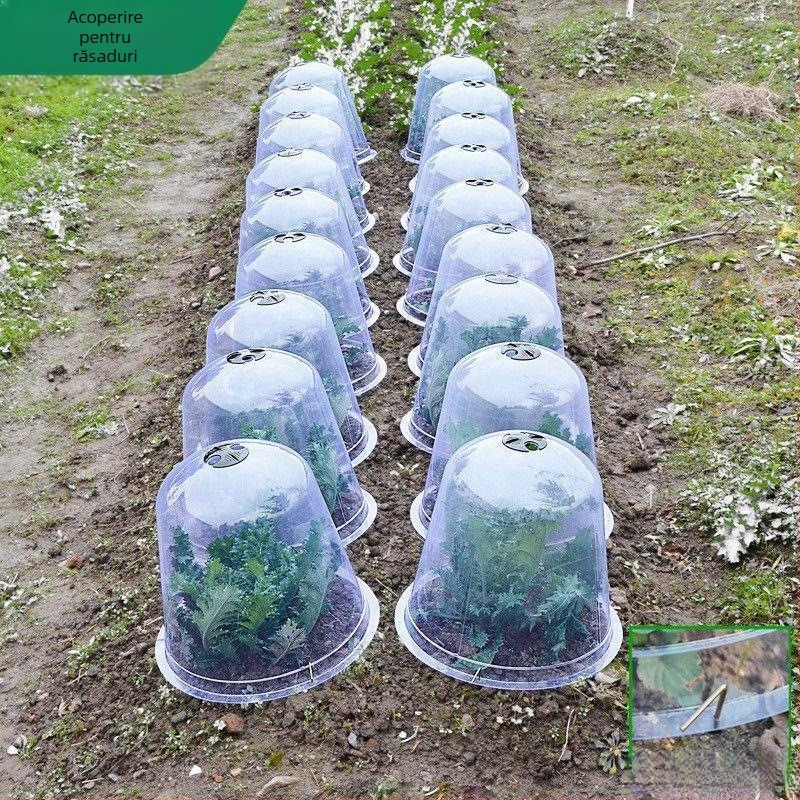 Acoperire izolată, transparentă pentru răsaduri de fructe și legume, set din trei piese din plastic, protecție împotriva frigului și a păsărilor