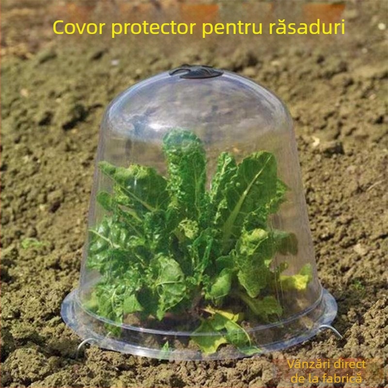 Acoperire izolată, transparentă pentru răsaduri de fructe și legume, set din trei piese din plastic, protecție împotriva frigului și a păsărilor