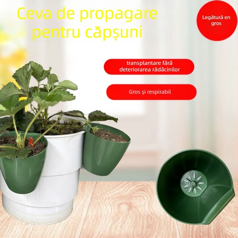 Cupă de înmulțire din plastic pentru răsaduri de căpșuni, ghiveci de transplant în seră, design respirabil