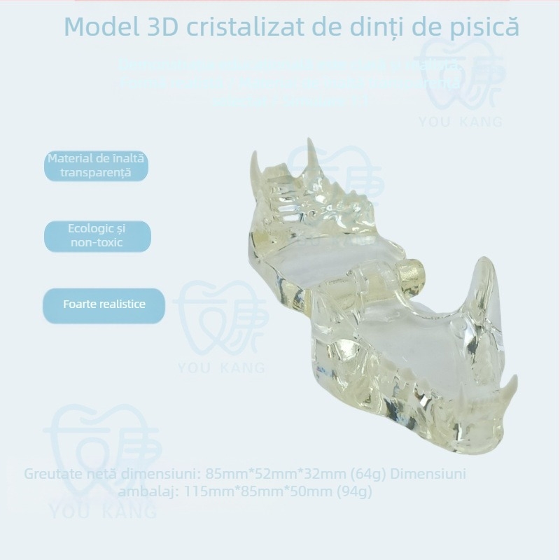 Model dentar pentru animale de companie pentru învățare, Youkang Technology, matriță dentară OEM, 100 de unități pe cutie, categorie: alte produse chimice pentru igiena orală